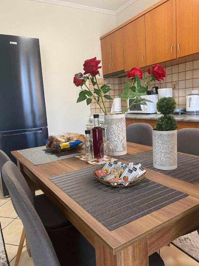 Bakopoulos Resort.Ενα Όμορφο Διαμέρισμα Με Τζάκι Tríkala Zewnętrze zdjęcie